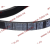 Ремень 8PK1160 SH (612600061295) SHAANXI / Shacman (ШАНКСИ / Шакман) 612600061752 фото 2 Смоленск